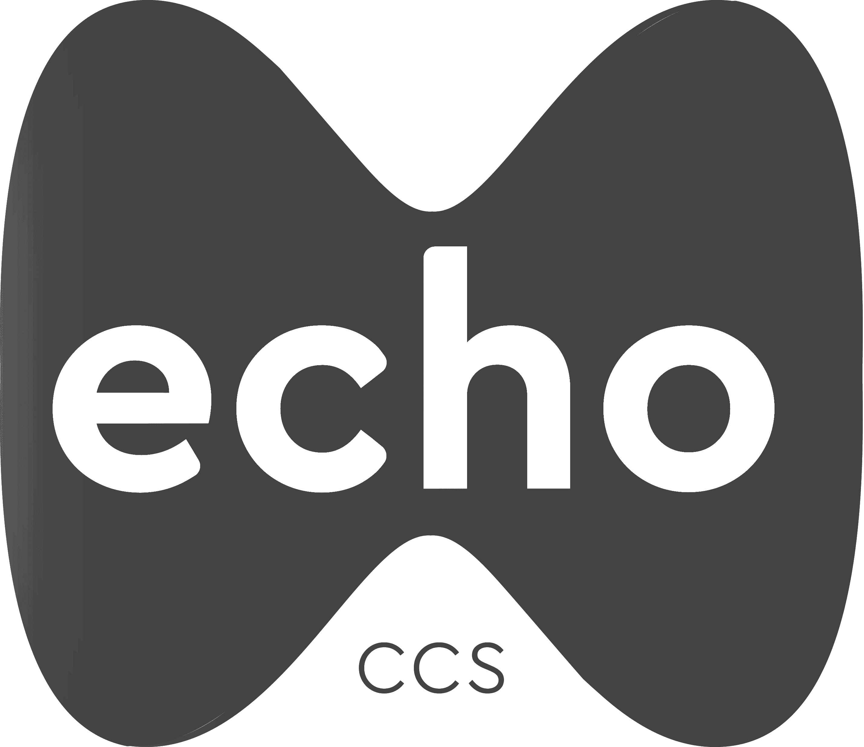 Echo